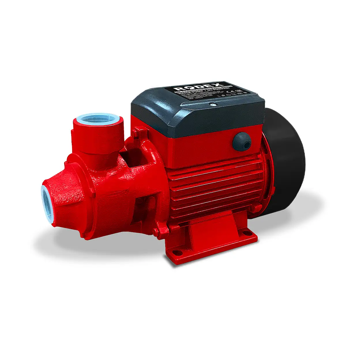 RDX874 Garden Water Pump