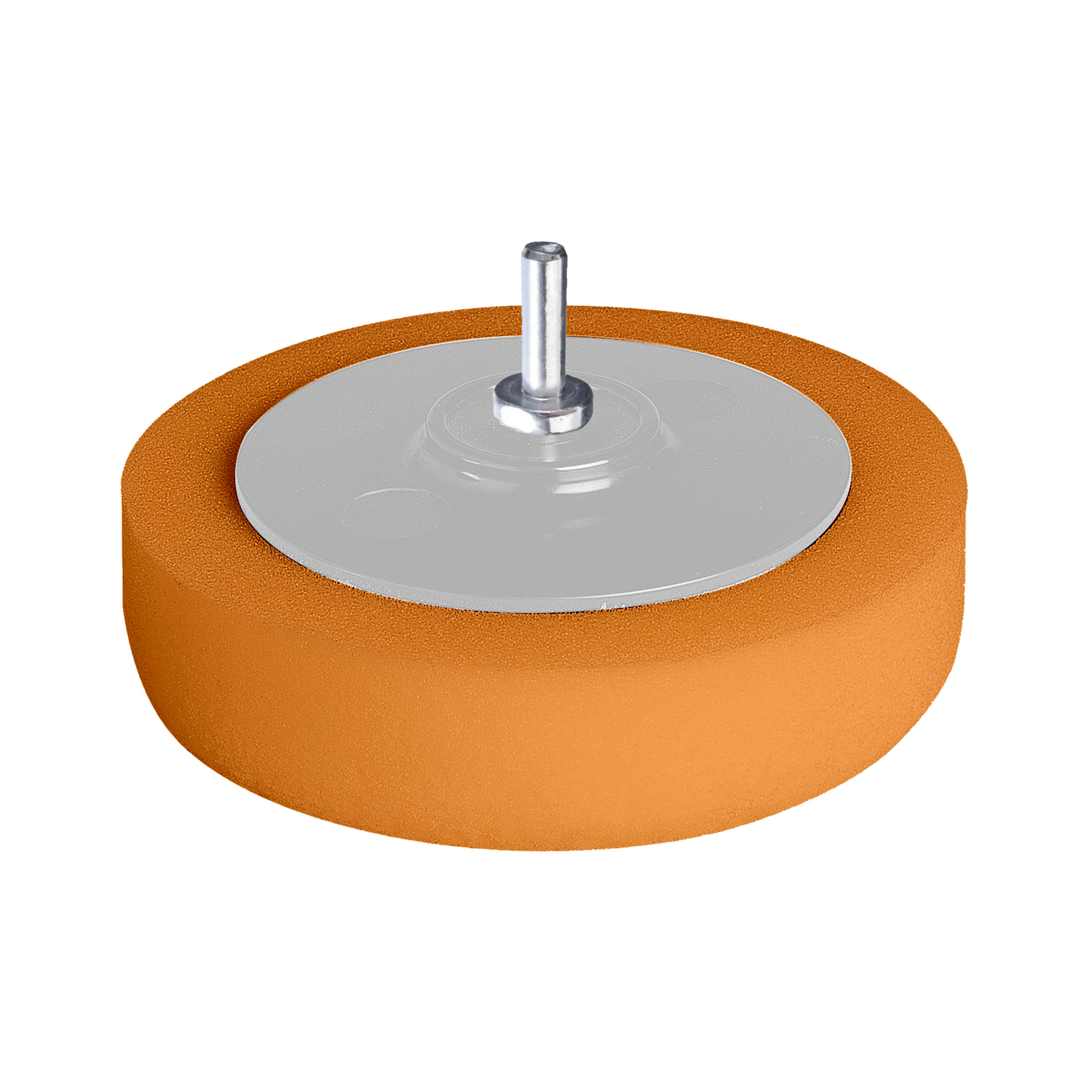 Sünger Polisaj Pedi